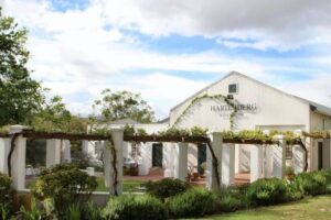 Hartenberg-1_980x980